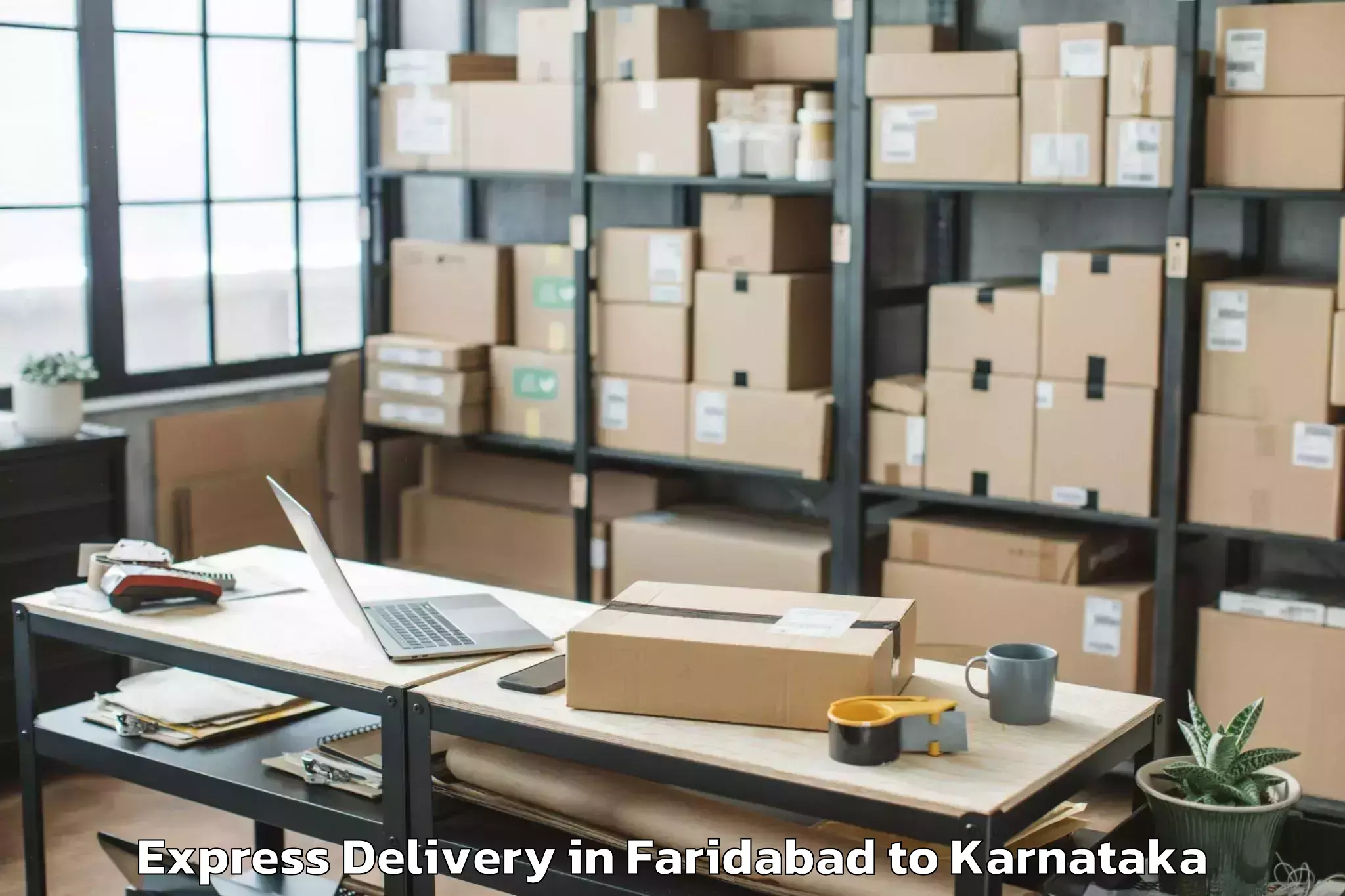 Faridabad to Raybag Express Delivery